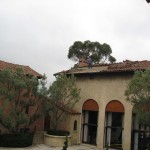 Clay Tile Roofing